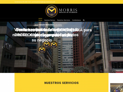 seguridadmorris.com snapshot