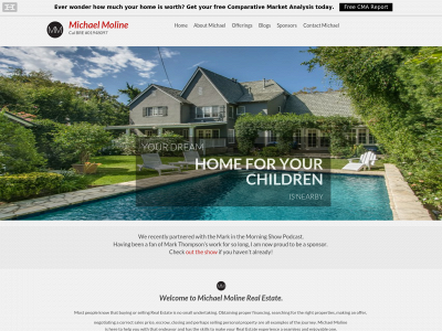 michaelmolinerealestate.com snapshot