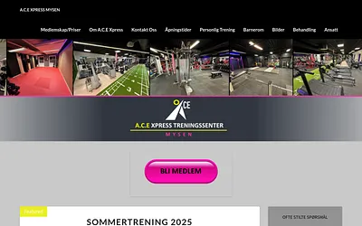 acemysen.no snapshot