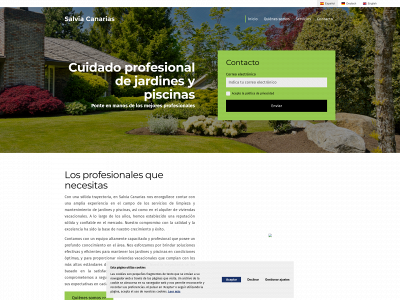 salviacanarias.es snapshot