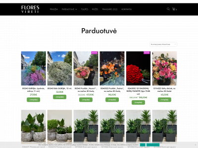floresvireti.lt snapshot
