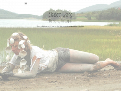 elizabethlyseng.no snapshot