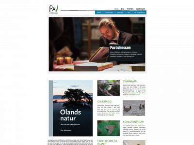 pavjohnsson.se snapshot