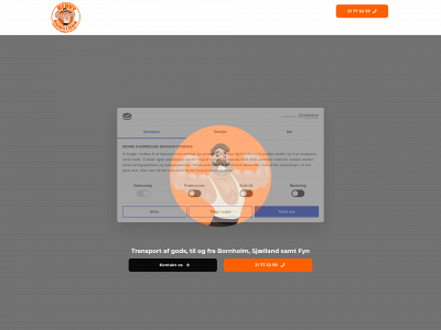 bbbil.dk snapshot