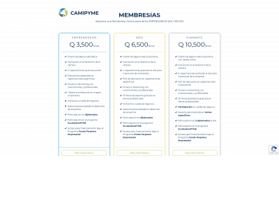camipyme.com snapshot