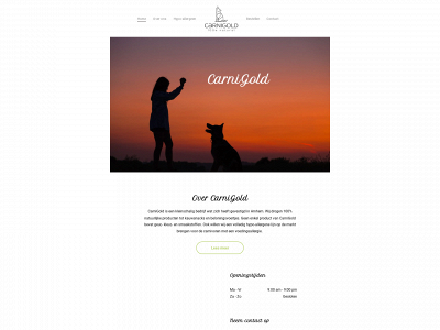 carnigold.nl snapshot