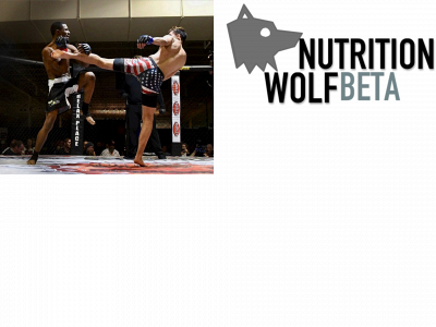 cakewolfonline.com snapshot