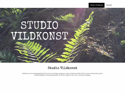 studiovildkonst.se snapshot