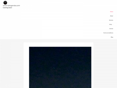 tatoganda.com snapshot