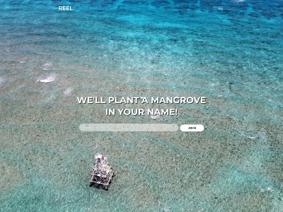 reelocean.org snapshot