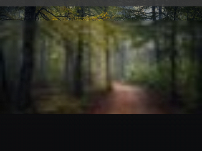 schonfoto.se snapshot