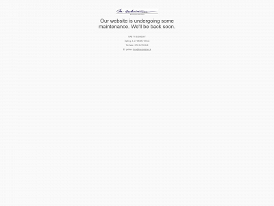 insubsidium.lt snapshot