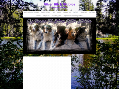 silverbitchstables.com snapshot