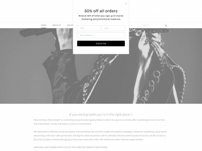 www.naturalmusicmarketiing.com snapshot