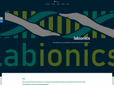 labionics.se snapshot