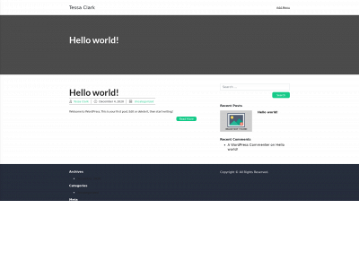 tessaclark.com snapshot