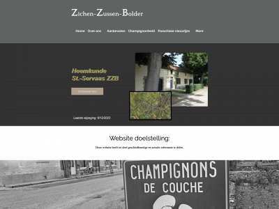 zichen-zussen-bolder.be snapshot