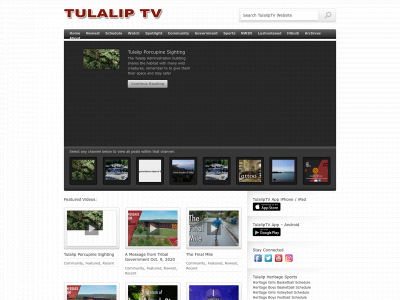 tulaliptv.com snapshot