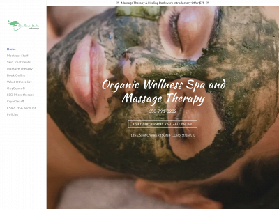 skinrepairstudio.com snapshot