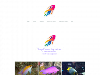deepdownwonders.weebly.com snapshot