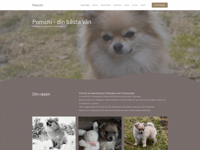 pomchi.se snapshot