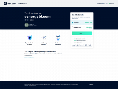synergybi.com snapshot