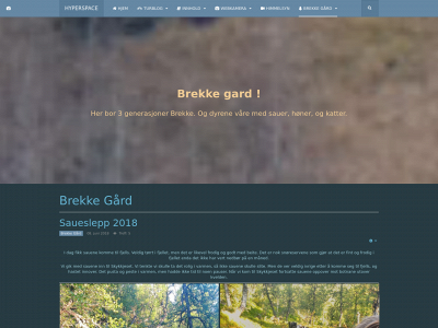 brekkegard.no snapshot