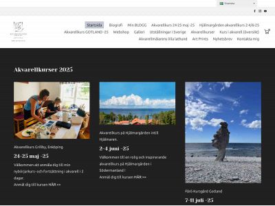 artsovin.se snapshot
