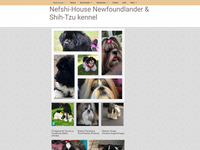nefshi-house.nl snapshot