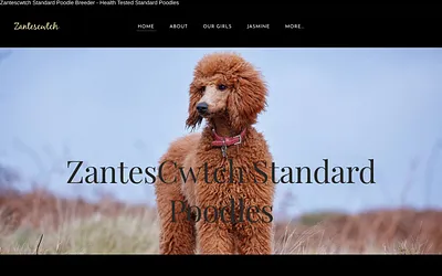 www.zantescwtchstandardpoodles.co.uk snapshot