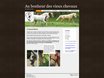 aubonheurdesvieuxchevaux.fr snapshot