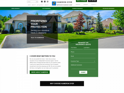 kamerondyeragent.com snapshot