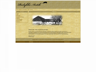rislykkeantik.dk snapshot
