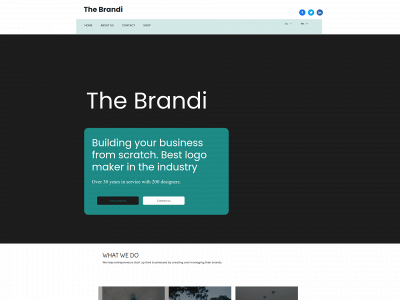 thebrandi.one snapshot
