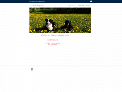 nikkisdjurservice.se snapshot