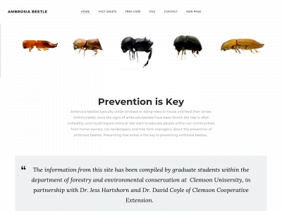 ambrosiabeetle.weebly.com snapshot