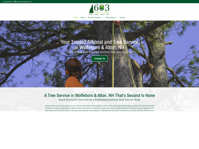 603treecare.com snapshot