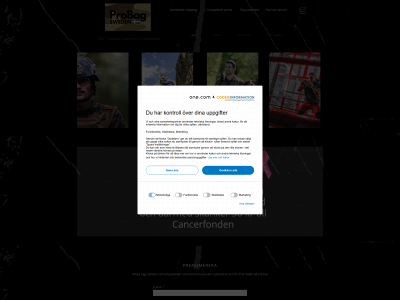 probagsweden.com snapshot