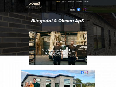 blingedalogolesen.dk snapshot