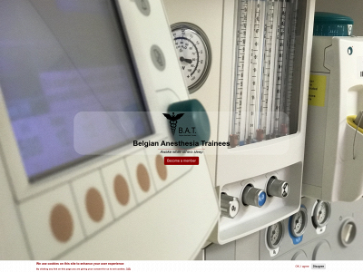 bat-anesthesia.be snapshot