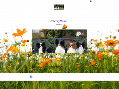 cheeryflame.com snapshot