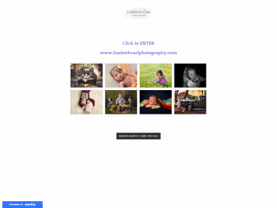 lizabethcarlphotography.weebly.com snapshot