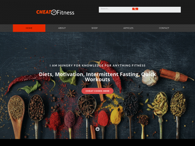 cheatfitness.com snapshot