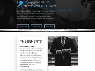 platinuminsagents.com snapshot