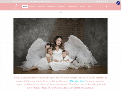 iwasherangel.com snapshot