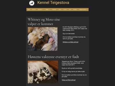 teigestova.no snapshot