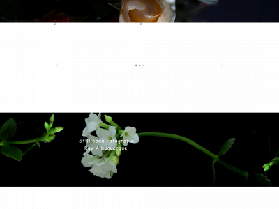 ray-albuquerque.de snapshot