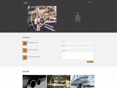 polishedturd.co.uk snapshot