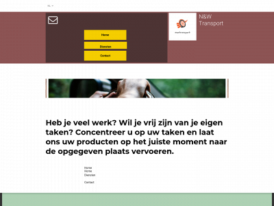new-transport.nl snapshot