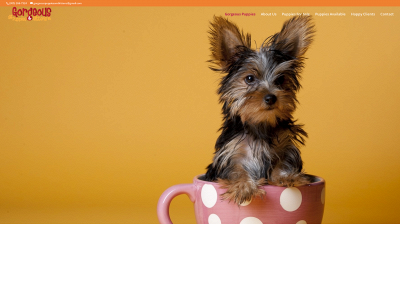 gorgeouspuppiesandkittens.com snapshot